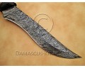 Hand-Forged Damascus Artisan Field-Utility Implement - Bone & Horn - CK892