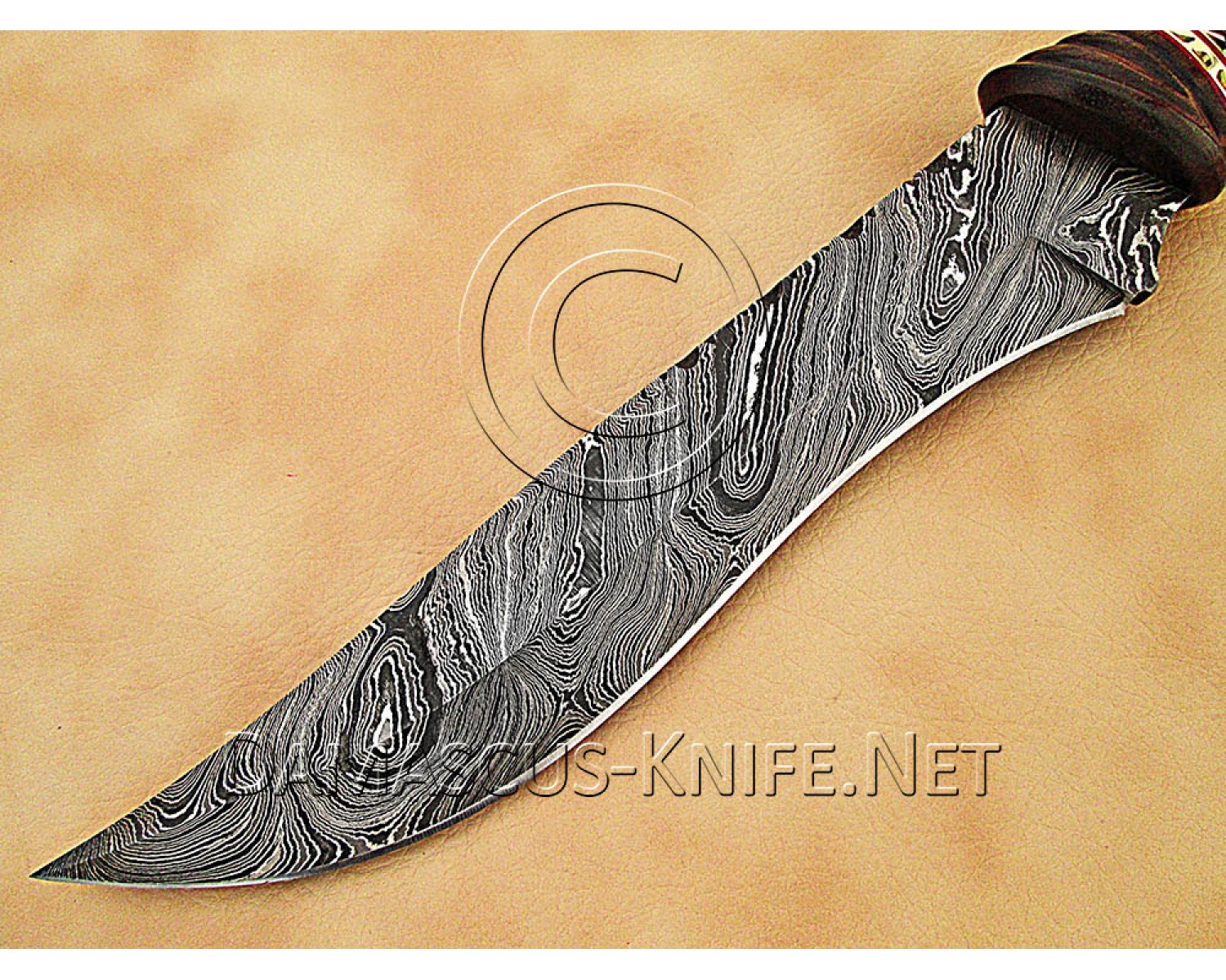 Custom Handmade Damascus Steel Outdoor Bowie Knife - Rosewood Handle - CK884 Custom Handmade Damascus Steel Outdoor Bowie Knife - Rosewood Handle - CK884