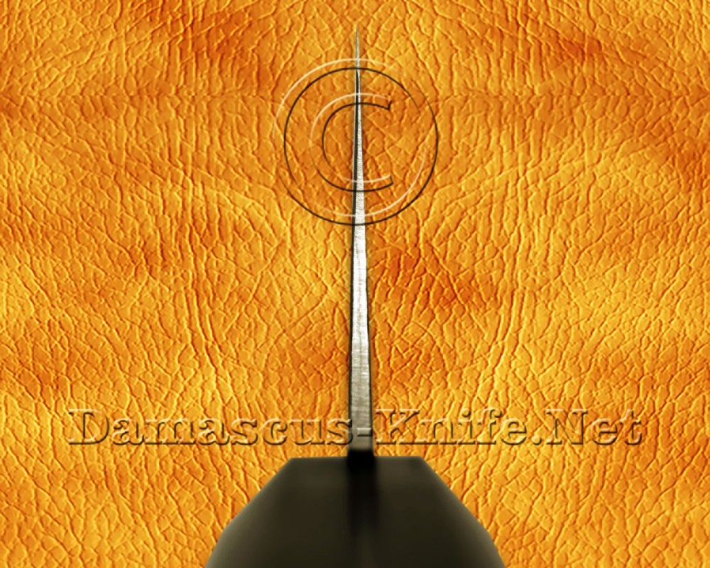 Personalized Hand Engraved 12C27 Gyuto Chef Knife - CK683